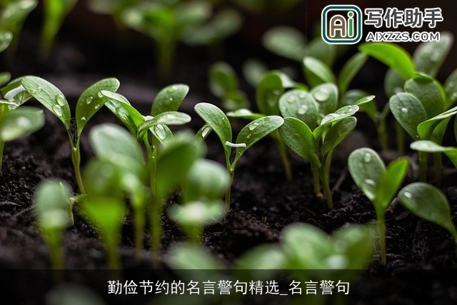 勤俭节约的名言警句精选_名言警句