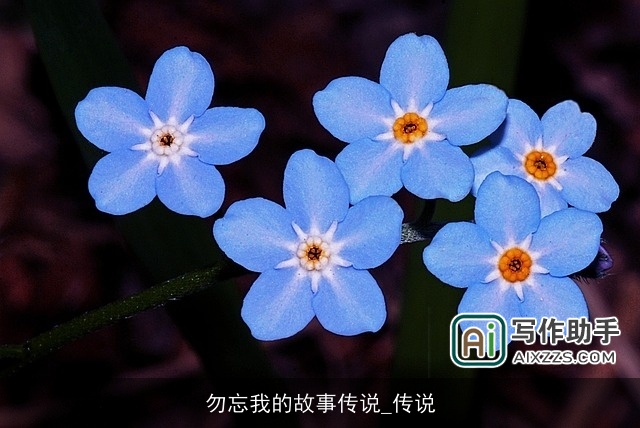 勿忘我的故事传说_传说