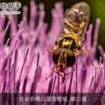 化合价顺口溜完整版_顺口溜