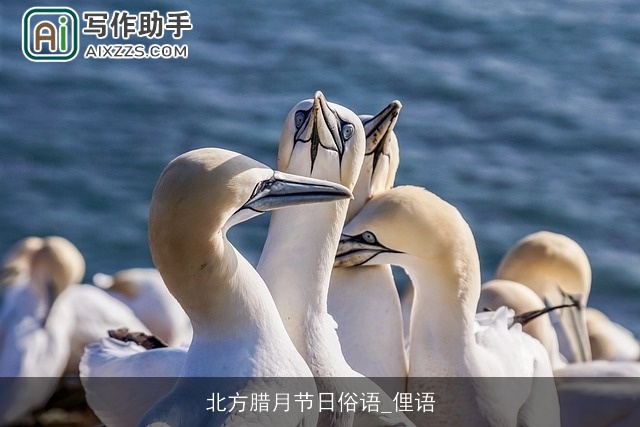 北方腊月节日俗语_俚语