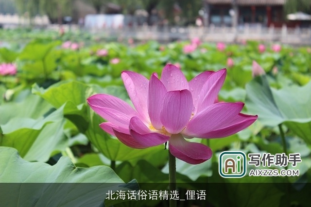 北海话俗语精选_俚语