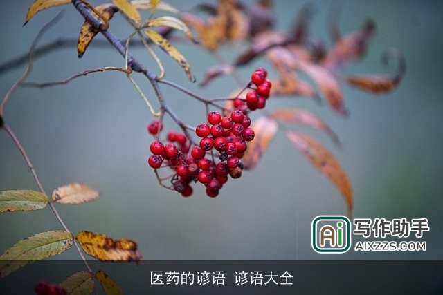 医药的谚语_谚语大全