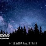 十二星座爱情名言_爱情名言