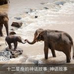 十二星座的神话故事_神话故事