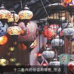 十二生肖的俗语有哪些_俚语