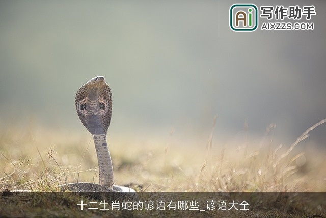 十二生肖蛇的谚语有哪些_谚语大全