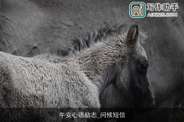 午安心语励志_问候短信