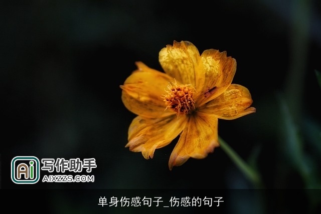 单身伤感句子_伤感的句子