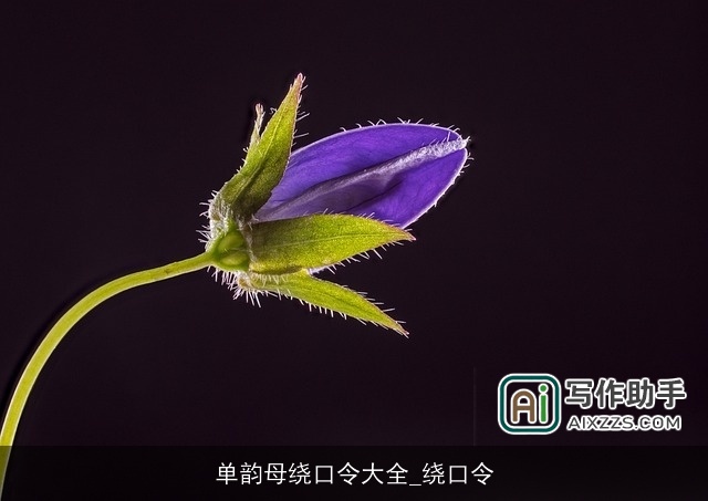 单韵母绕口令大全_绕口令