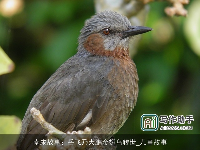 南宋故事：岳飞乃大鹏金翅鸟转世_儿童故事