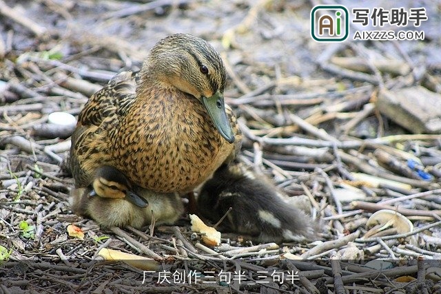 厂庆创作三句半_三句半