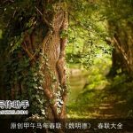原创甲午马年春联（魏明德）_春联大全