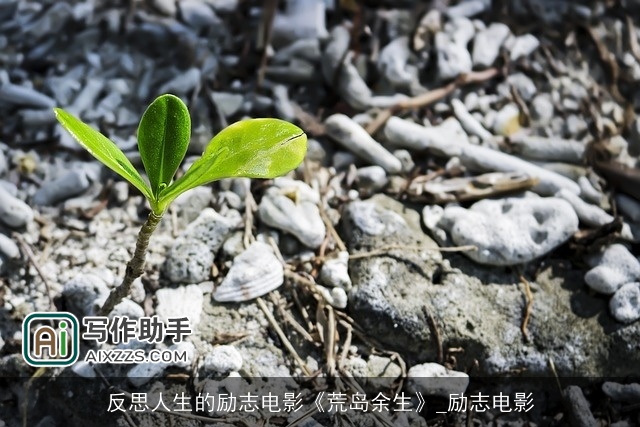 反思人生的励志电影《荒岛余生》_励志电影