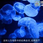 反转人生电影中的经典台词_经典句子