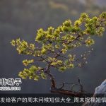 发给客户的周末问候短信大全_周末祝福短信