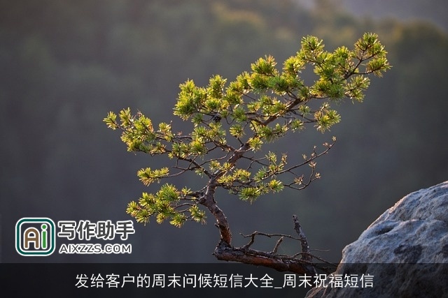 发给客户的周末问候短信大全_周末祝福短信