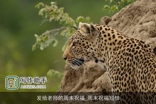 发给老师的周末祝福_周末祝福短信