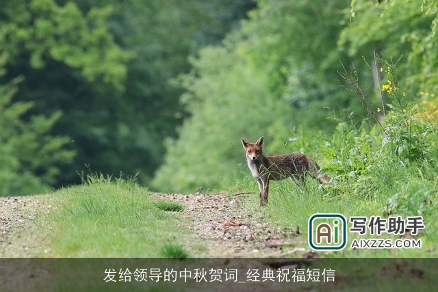 发给领导的中秋贺词_经典祝福短信