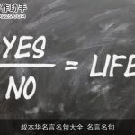 叔本华名言名句大全_名言名句
