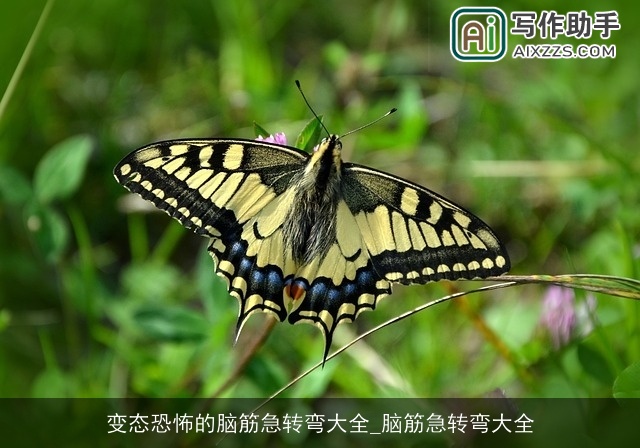 变态恐怖的脑筋急转弯大全_脑筋急转弯大全