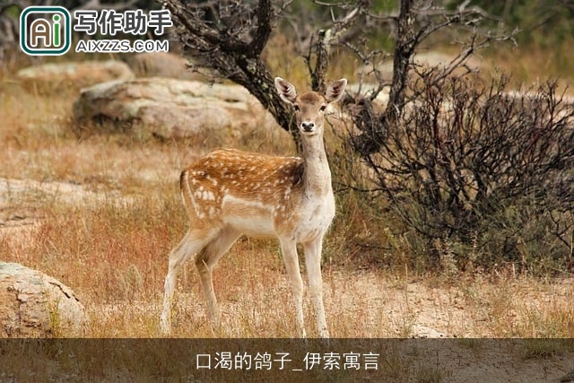 口渴的鸽子_伊索寓言