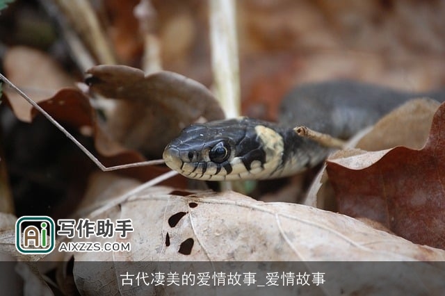 古代凄美的爱情故事_爱情故事