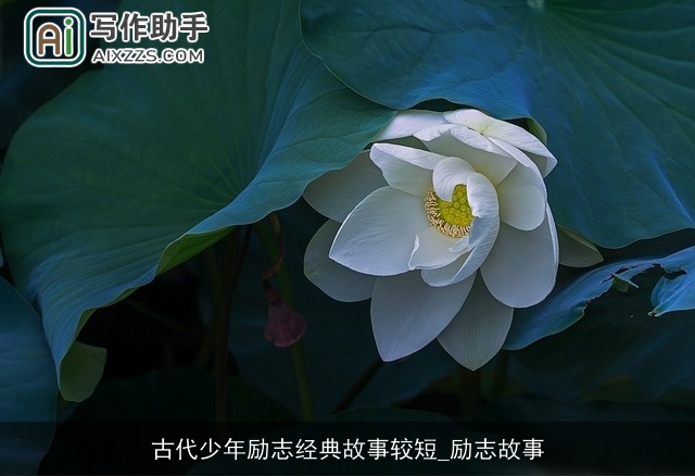 古代少年励志经典故事较短_励志故事