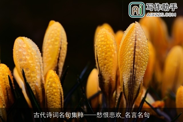 古代诗词名句集粹——愁恨悲欢_名言名句