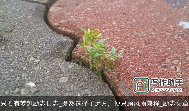 只要有梦想励志日志_既然选择了远方，便只顾风雨兼程_励志文章