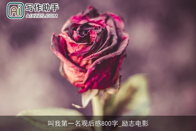 叫我第一名观后感800字_励志电影