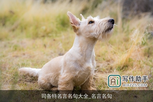 司各特名言名句大全_名言名句