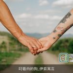 叼着肉的狗_伊索寓言