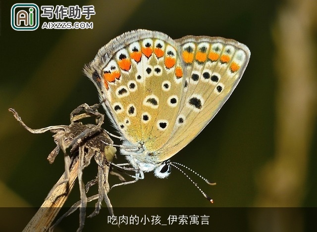 吃肉的小孩_伊索寓言