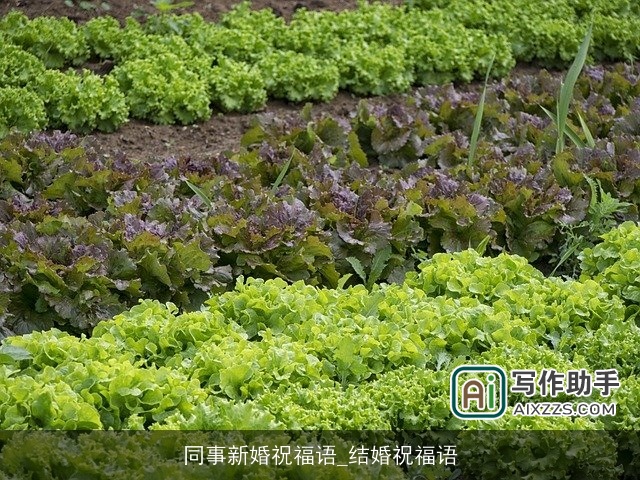 同事新婚祝福语_结婚祝福语