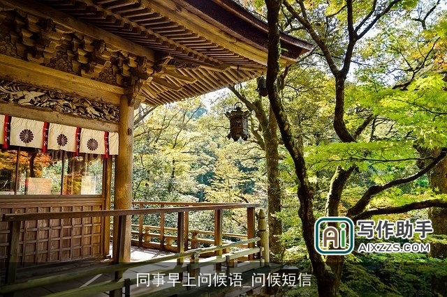 同事早上问候语_问候短信