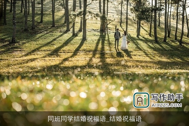 同班同学结婚祝福语_结婚祝福语