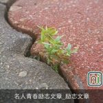 名人青春励志文章_励志文章