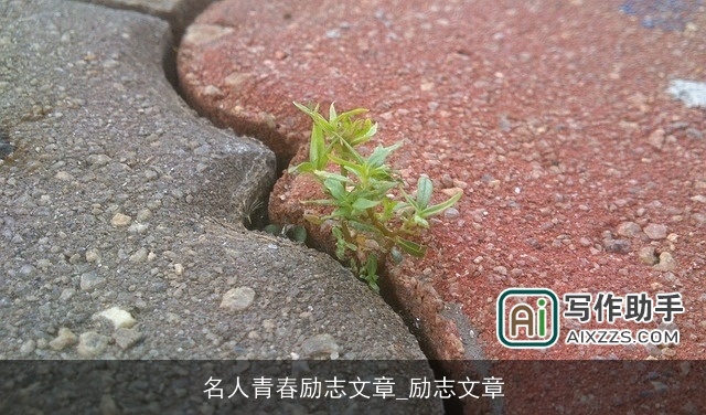 名人青春励志文章_励志文章