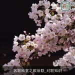 名联欣赏之歇后联_对联知识