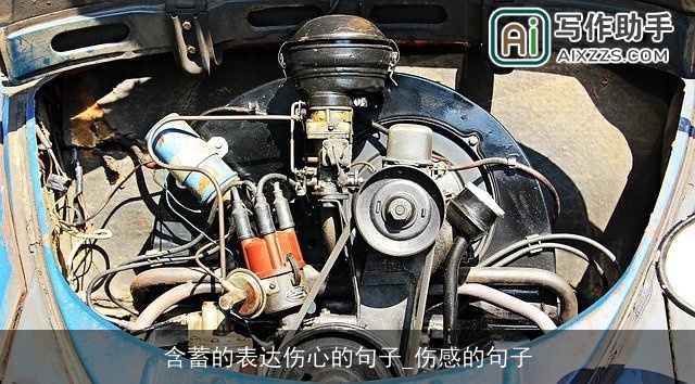 含蓄的表达伤心的句子_伤感的句子