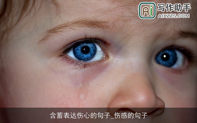 含蓄表达伤心的句子_伤感的句子