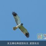 吴玉章经典爱国名言_爱国名言