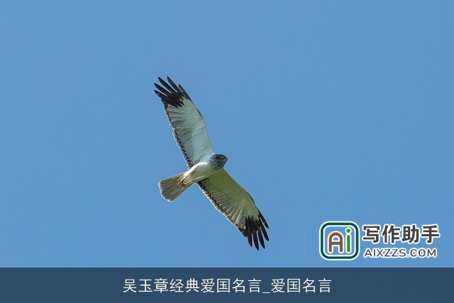 吴玉章经典爱国名言_爱国名言