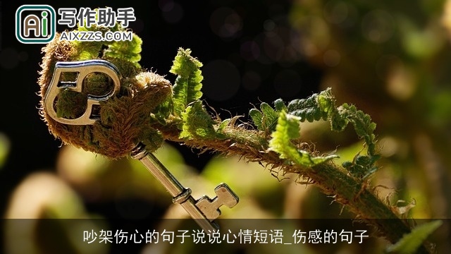 吵架伤心的句子说说心情短语_伤感的句子