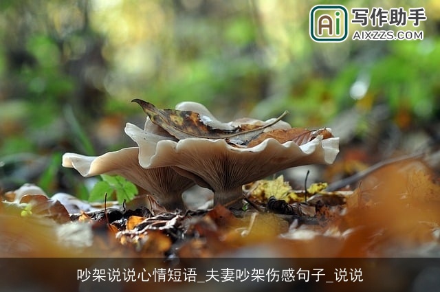 吵架说说心情短语_夫妻吵架伤感句子_说说