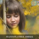 周五阳光早上问候语_问候短信