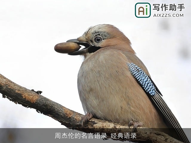 周杰伦的名言语录_经典语录