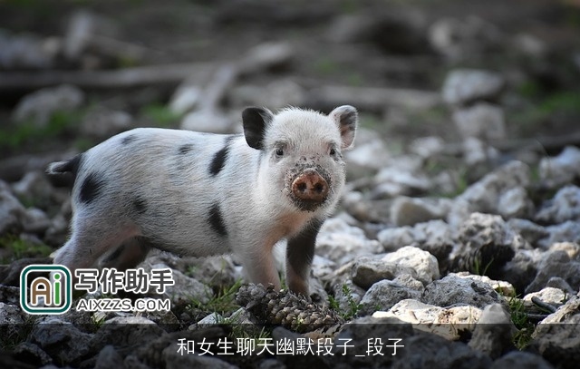 和女生聊天幽默段子_段子