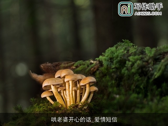 哄老婆开心的话_爱情短信