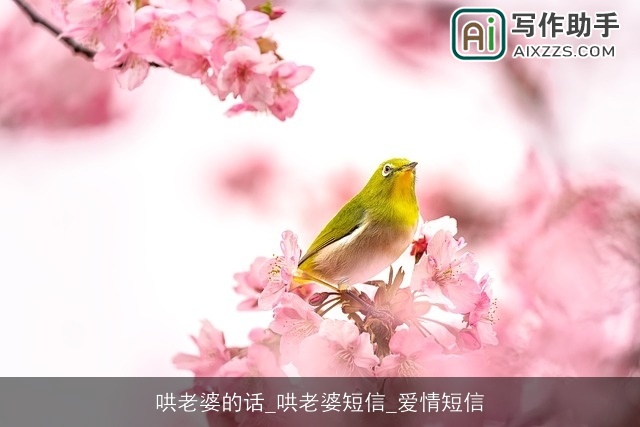 哄老婆的话_哄老婆短信_爱情短信